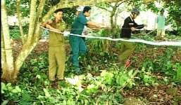 Bí ẩn nam thanh niên tử vong trong vườn chôm chôm